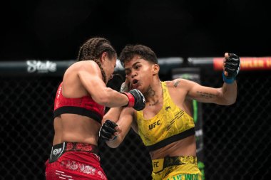 Rio de Janeiro (RJ), 04/05/2024 - UFC 301 - PANTOJA VS ERCEG - Fight between Kowalkiewicz x Lucindo at Farmasi Arena. clipart