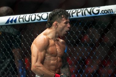 Rio de Janeiro (RJ), 04/05/2024 - UFC 301 - PANTOJA VS ERCEG - Fight between Costas x Borjas at Farmasi Arena. clipart