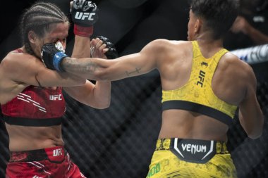 Rio de Janeiro (RJ), 04 / 05 / 2024 - UFC 301 - PANTOJA ERCEG - Farmasi Arena 'da Kowalkiewicz x Lucindo arasında dövüş.