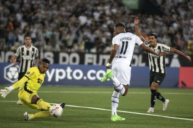 Rio de Janeiro, Rio de Janeiro, Brezilya - 08 Mayıs 2024. Botafogo x LDU (EQU), Nilton Santos Stadyumu 'ndaki Libertadores.          