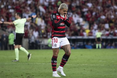 Rio de Janeiro, Rio de Janeiro, Brezilya - 15 Mayıs 2024. Flamengo x Bolivar (BOL), Maracana Stadyumu 'ndaki Libertadores.           