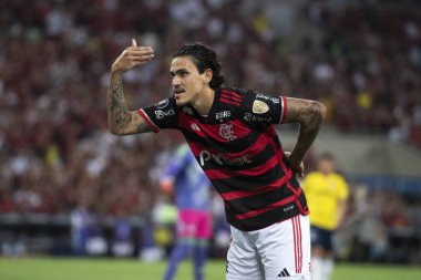 Rio de Janeiro, Rio de Janeiro, Brezilya - 28 Mayıs 2024. Flamengo x Millionarios (COL), Maracana Stadyumundaki Libertadores.                    