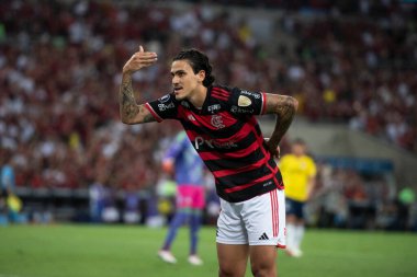 Rio de Janeiro, Rio de Janeiro, Brezilya - 28 Mayıs 2024. Flamengo x Millionarios (COL), Maracana Stadyumundaki Libertadores.                    