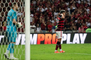 Rio de Janeiro, Rio de Janeiro, Brezilya - 13 Haziran 2024. Flamengo X Gremio Maracana Stadyumunda.             