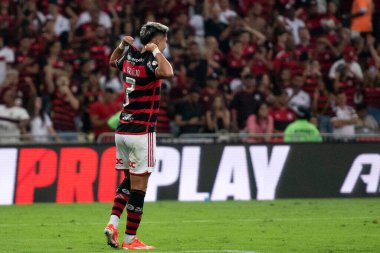 Rio de Janeiro, Rio de Janeiro, Brezilya - 13 Haziran 2024. Flamengo X Gremio Maracana Stadyumunda.             