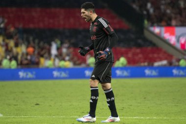 Rio de Janeiro, Rio de Janeiro, Brezilya - 20 Haziran 2024. Flamengo x Bahia Maracana Stadyumu 'nda.                 