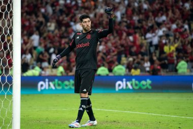Rio de Janeiro, Rio de Janeiro, Brezilya - 20 Haziran 2024. Flamengo x Bahia Maracana Stadyumu 'nda.                 