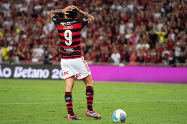 Rio de Janeiro (RJ), 06 / 07 / 2024 - FLAMENGO X CUIABA - Brezilya Maracan Şampiyonası için Flamengo x Cuiaba ile maç.                                    