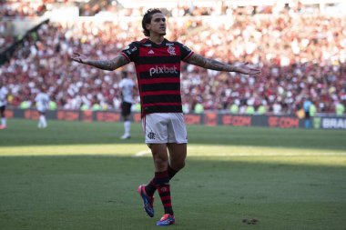 Rio de Janeiro, Rio de Janeiro, Brezilya - 28 Temmuz 2024. Flamengo x Atletico GO Maracana Stadyumu.                  