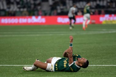 Rio de Janeiro (RJ), 17 / 07 / 2024 - BOTAFOGO X PALMEIRAS - Botafogo x Palmeiras ile Maracan 'daki Brezilya Şampiyonası maçı.                 