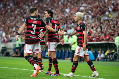Rio de Janeiro, Rio de Janeiro, Brezilya - 28 Temmuz 2024. Flamengo x Atletico GO Maracana Stadyumu.                  