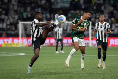Rio de Janeiro (RJ), 17 / 07 / 2024 - BOTAFOGO X PALMEIRAS - Botafogo x Palmeiras ile Maracan 'daki Brezilya Şampiyonası maçı.                 