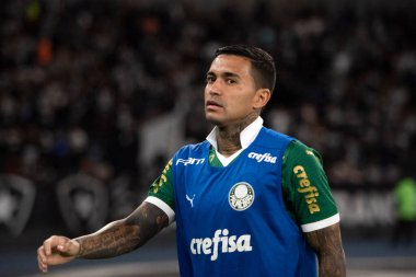 Rio de Janeiro (RJ), 17 / 07 / 2024 - BOTAFOGO X PALMEIRAS - Botafogo x Palmeiras ile Maracan 'daki Brezilya Şampiyonası maçı.                 