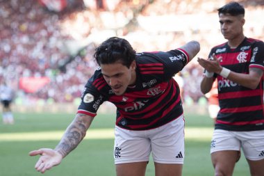 Rio de Janeiro, Rio de Janeiro, Brezilya - 28 Temmuz 2024. Flamengo x Atletico GO Maracana Stadyumu.                  