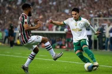 Rio de Janeiro, Rio de Janeiro, Brezilya - 24 Temmuz 2024. Fluminense x Palmeiras Maracana Stadyumu.                        