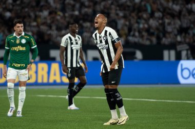 Rio de Janeiro (RJ), 17 / 07 / 2024 - BOTAFOGO X PALMEIRAS - Botafogo x Palmeiras ile Maracan 'daki Brezilya Şampiyonası maçı.                 