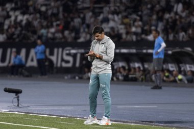 Rio de Janeiro (RJ), 17 / 07 / 2024 - BOTAFOGO X PALMEIRAS - Botafogo x Palmeiras ile Maracan 'daki Brezilya Şampiyonası maçı.                 