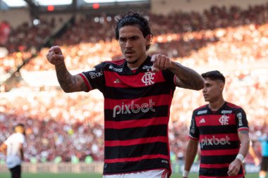 Rio de Janeiro, Rio de Janeiro, Brezilya - 28 Temmuz 2024. Flamengo x Atletico GO Maracana Stadyumu.                  