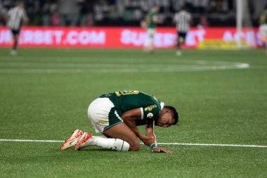 Rio de Janeiro (RJ), 17 / 07 / 2024 - BOTAFOGO X PALMEIRAS - Botafogo x Palmeiras ile Maracan 'daki Brezilya Şampiyonası maçı.                 