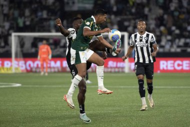 Rio de Janeiro (RJ), 17 / 07 / 2024 - BOTAFOGO X PALMEIRAS - Botafogo x Palmeiras ile Maracan 'daki Brezilya Şampiyonası maçı.                 