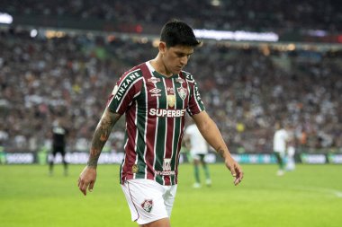 Rio de Janeiro, Rio de Janeiro, Brezilya - 24 Temmuz 2024. Fluminense x Palmeiras Maracana Stadyumu.                        