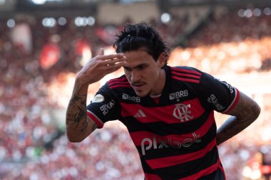 Rio de Janeiro, Rio de Janeiro, Brezilya - 28 Temmuz 2024. Flamengo x Atletico GO Maracana Stadyumu.                  