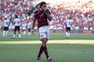 Rio de Janeiro, Rio de Janeiro, Brezilya - 28 Temmuz 2024. Flamengo x Atletico GO Maracana Stadyumu.                  