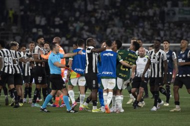 Rio de Janeiro (RJ), 17 / 07 / 2024 - BOTAFOGO X PALMEIRAS - Botafogo x Palmeiras ile Maracan 'daki Brezilya Şampiyonası maçı.                 