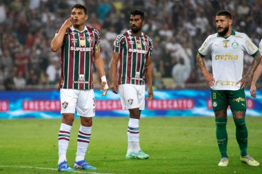Rio de Janeiro, Rio de Janeiro, Brezilya - 24 Temmuz 2024. Fluminense x Palmeiras Maracana Stadyumu.                        