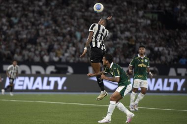 Rio de Janeiro (RJ), 17 / 07 / 2024 - BOTAFOGO X PALMEIRAS - Botafogo x Palmeiras ile Maracan 'daki Brezilya Şampiyonası maçı.                 