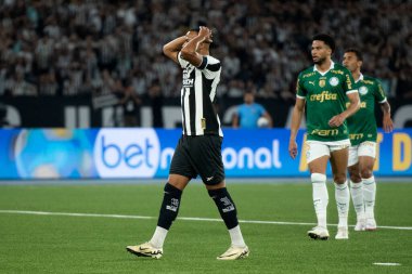 Rio de Janeiro (RJ), 17 / 07 / 2024 - BOTAFOGO X PALMEIRAS - Botafogo x Palmeiras ile Maracan 'daki Brezilya Şampiyonası maçı.                 