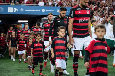 Rio de Janeiro, Rio de Janeiro, Brezilya - 31 Temmuz 2024. Flamengo x Palmeiras Maracana Stadyumu 'nda.                  