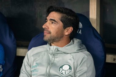 Rio de Janeiro, Rio de Janeiro, Brezilya - 31 Temmuz 2024. Flamengo x Palmeiras Maracana Stadyumu 'nda.                  