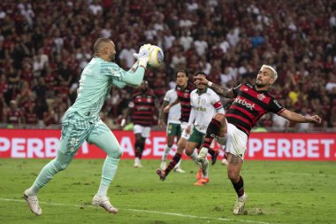 Rio de Janeiro, Rio de Janeiro, Brezilya - 31 Temmuz 2024. Flamengo x Palmeiras Maracana Stadyumu 'nda.                  
