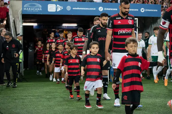 Rio de Janeiro, Rio de Janeiro, Brezilya - 31 Temmuz 2024. Flamengo x Palmeiras Maracana Stadyumu 'nda.                  