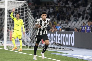 Rio de Janeiro, Rio de Janeiro, Brezilya - 14 Ağustos 2024. Botafogo x Palmeiras Nilton Santos Stadyumu - Libertadores.                   