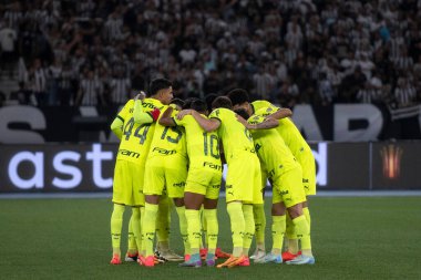 Rio de Janeiro, Rio de Janeiro, Brezilya - 14 Ağustos 2024. Botafogo x Palmeiras Nilton Santos Stadyumu - Libertadores.                   