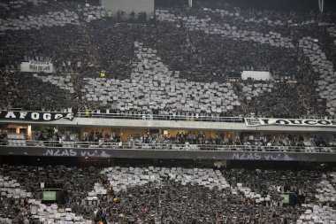 Rio de Janeiro, Rio de Janeiro, Brezilya - 14 Ağustos 2024. Botafogo x Palmeiras Nilton Santos Stadyumu - Libertadores.                   