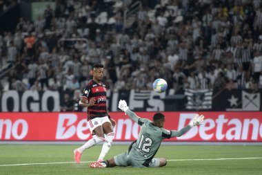 Rio de Janeiro, Rio de Janeiro, Brezilya - 18 Ağustos 2024. Botafogo x Flamengo Nilton Santos Stadyumu - Brezilya Şampiyonası.          