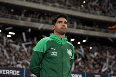 Rio de Janeiro, Rio de Janeiro, Brezilya - 14 Ağustos 2024. Botafogo x Palmeiras Nilton Santos Stadyumu - Libertadores.                   