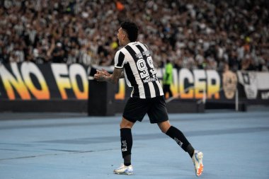 Rio de Janeiro, Rio de Janeiro, Brezilya - 14 Ağustos 2024. Botafogo x Palmeiras Nilton Santos Stadyumu - Libertadores.                   