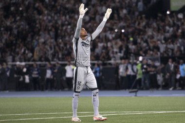 Rio de Janeiro, Rio de Janeiro, Brezilya - 14 Ağustos 2024. Botafogo x Palmeiras Nilton Santos Stadyumu - Libertadores.                   