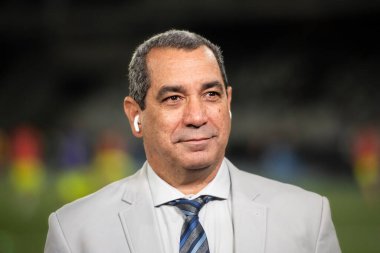 Rio de Janeiro, Rio de Janeiro, Brezilya - 14 Ağustos 2024. Botafogo x Palmeiras Nilton Santos Stadyumu - Libertadores.                   