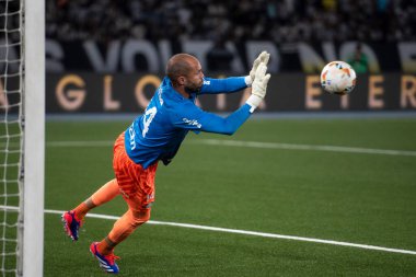 Rio de Janeiro, Rio de Janeiro, Brezilya - 14 Ağustos 2024. Botafogo x Palmeiras Nilton Santos Stadyumu - Libertadores.                   