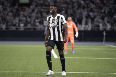 Rio de Janeiro, Rio de Janeiro, Brezilya - 14 Ağustos 2024. Botafogo x Palmeiras Nilton Santos Stadyumu - Libertadores.                   