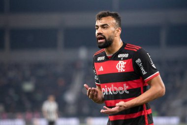 Rio de Janeiro, Rio de Janeiro, Brezilya - 18 Ağustos 2024. Botafogo x Flamengo Nilton Santos Stadyumu - Brezilya Şampiyonası.          