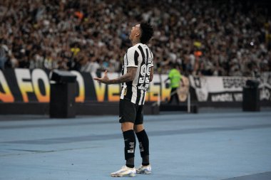 Rio de Janeiro, Rio de Janeiro, Brezilya - 14 Ağustos 2024. Botafogo x Palmeiras Nilton Santos Stadyumu - Libertadores.                   
