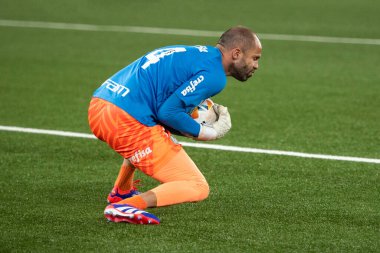 Rio de Janeiro, Rio de Janeiro, Brezilya - 14 Ağustos 2024. Botafogo x Palmeiras Nilton Santos Stadyumu - Libertadores.                   