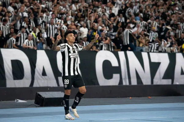 Rio de Janeiro, Rio de Janeiro, Brezilya - 14 Ağustos 2024. Botafogo x Palmeiras Nilton Santos Stadyumu - Libertadores.                   