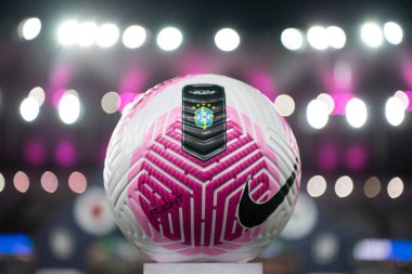 Rio de Janeiro (RJ), 17 / 10 / 2024 - FLAMENGO X FLUMINENSE - Brezilya Şampiyonası için Flamengo x Fluminense at Maracan.            